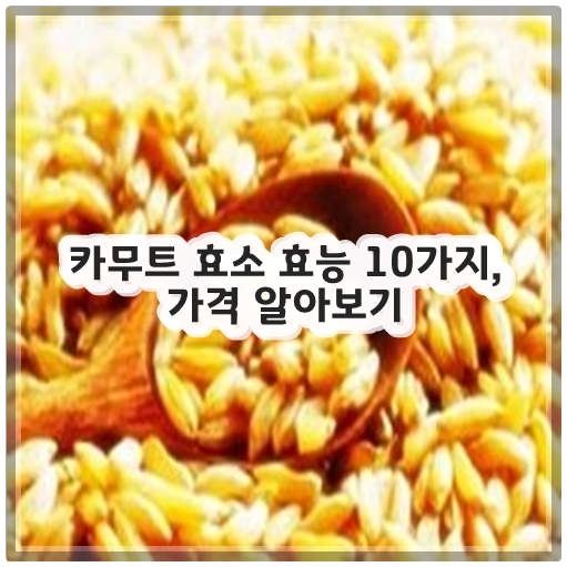 카무트 효소 효능 10가지, 가격 알아보기