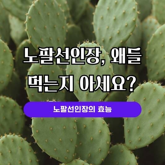 노팔선인장과 지방독