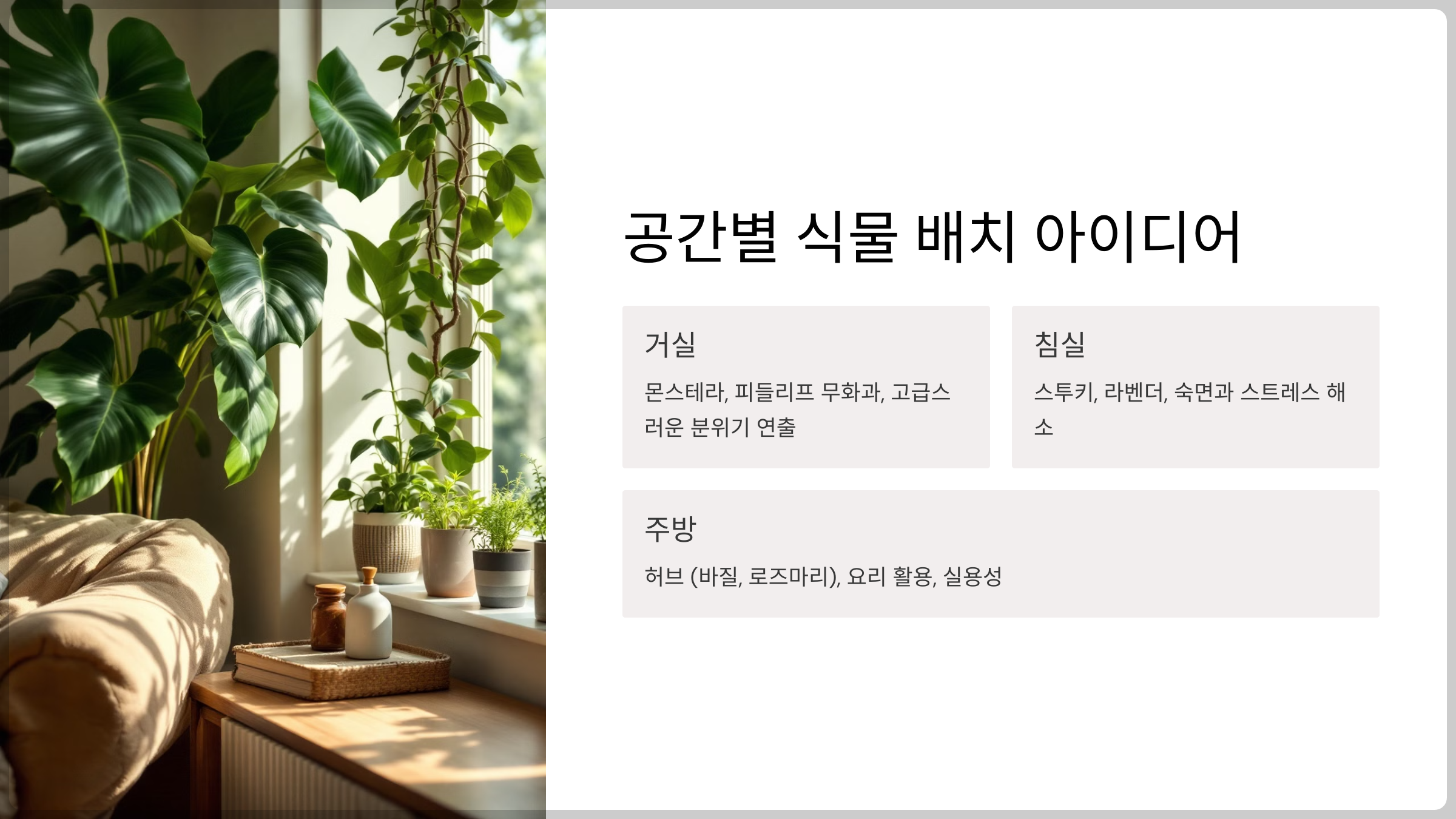 공간별 식물 배치 아이디어