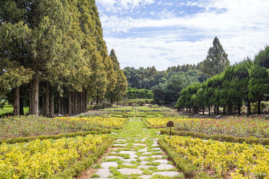 익산 아가페정원