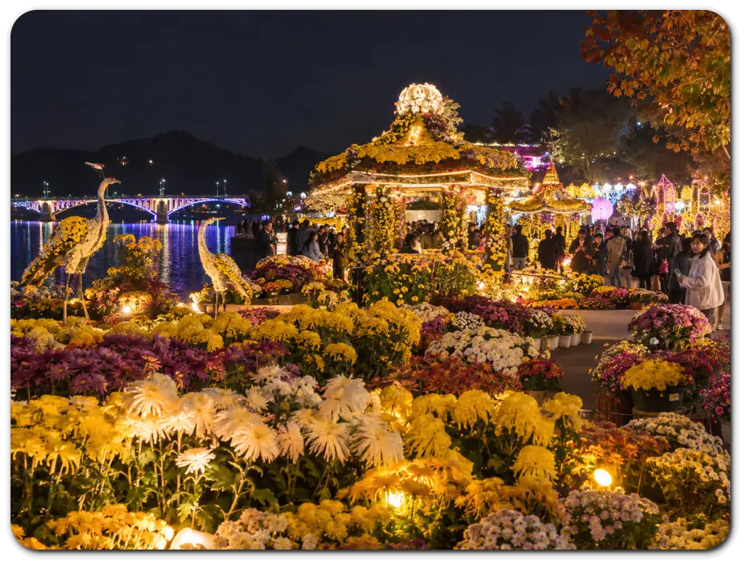 Chrysanthemum-Festival-masan