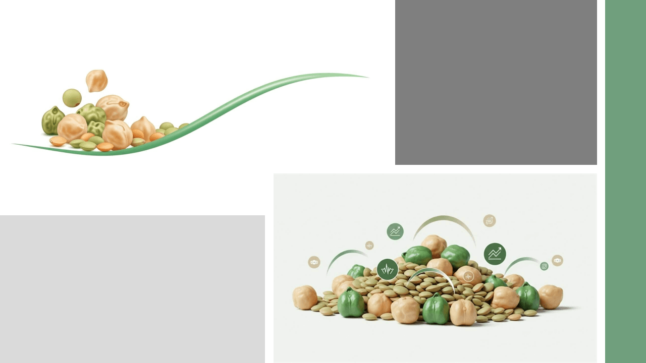 혈당 비교: GI 수치와 혈당 반응의 차이