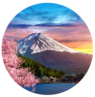 2024 제주항공 얼리버드 찜특가