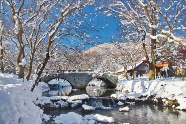 전라도 겨울 트레킹 명소 BEST 5, 남도에서 만나는 고요한 숲길 여행