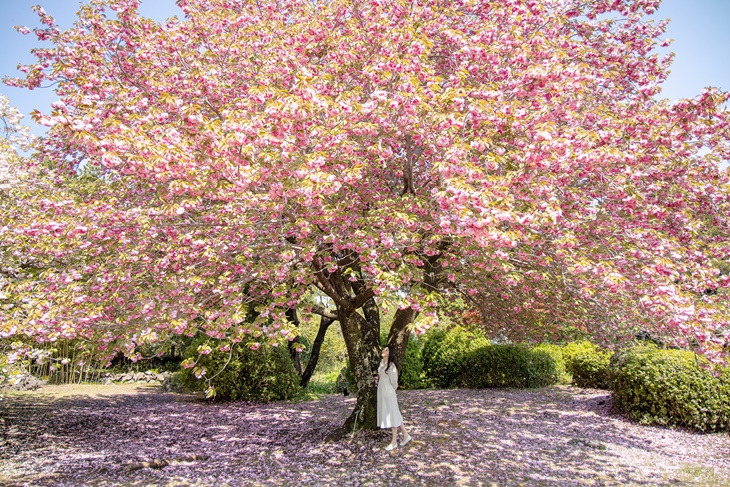 관련 여행지 사진이미지