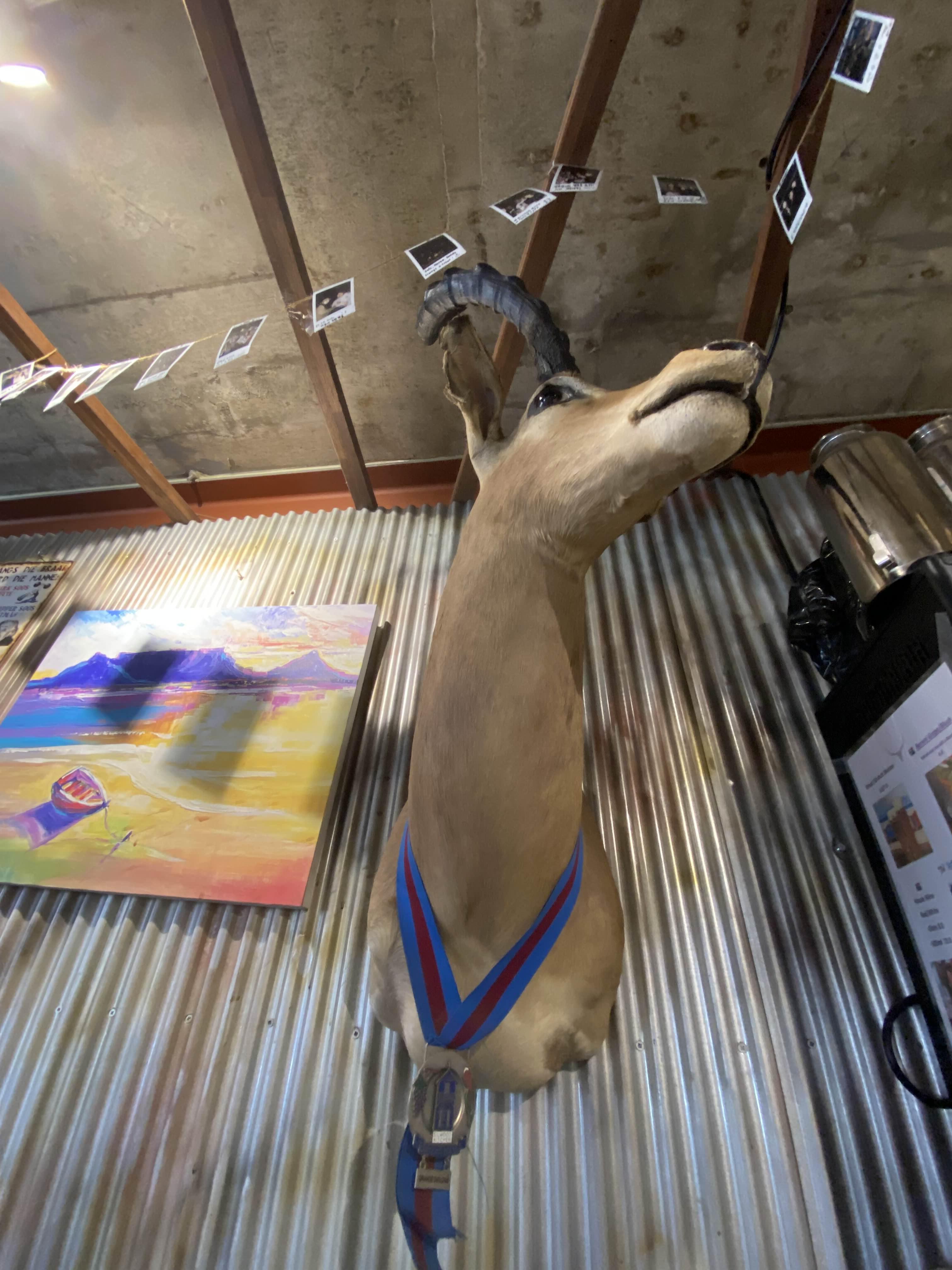 파이리퍼블릭 영양 헌팅트로피