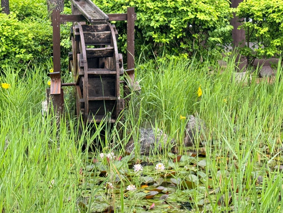 상동호수공원