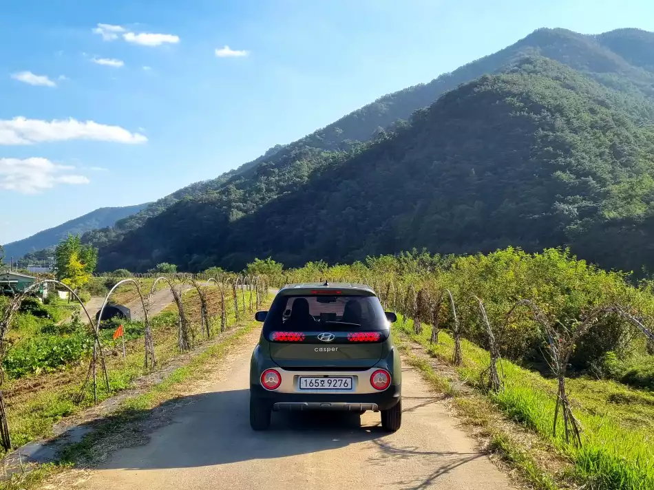밀양강 둑길 위로 올라왔습니다.