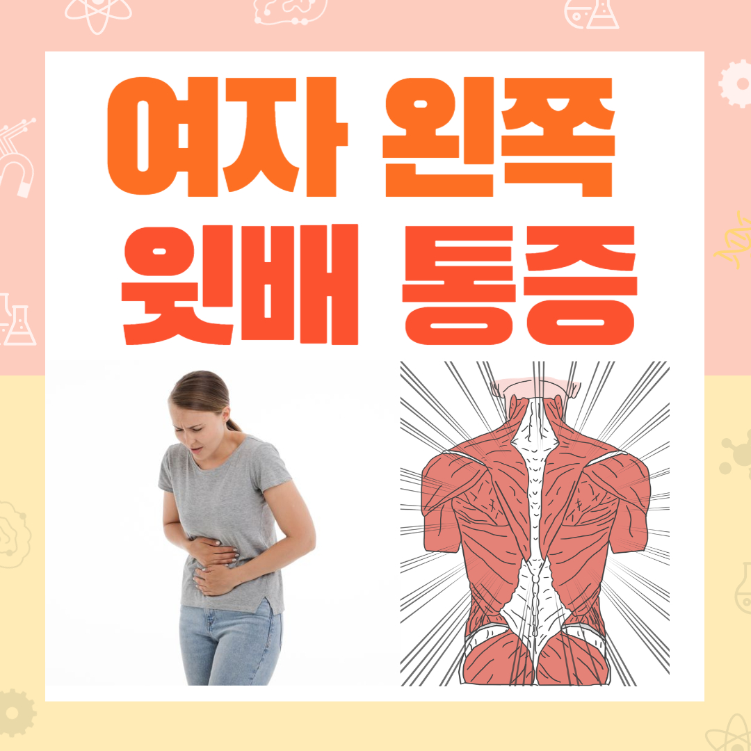 여자-왼쪽-윗배-통증
