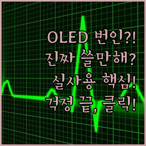 압도적 화질 OLED 모니터 번인 진..