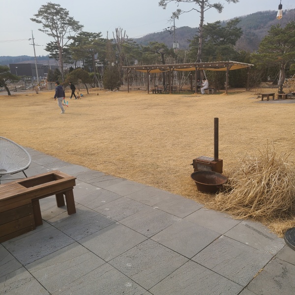 애견운동장