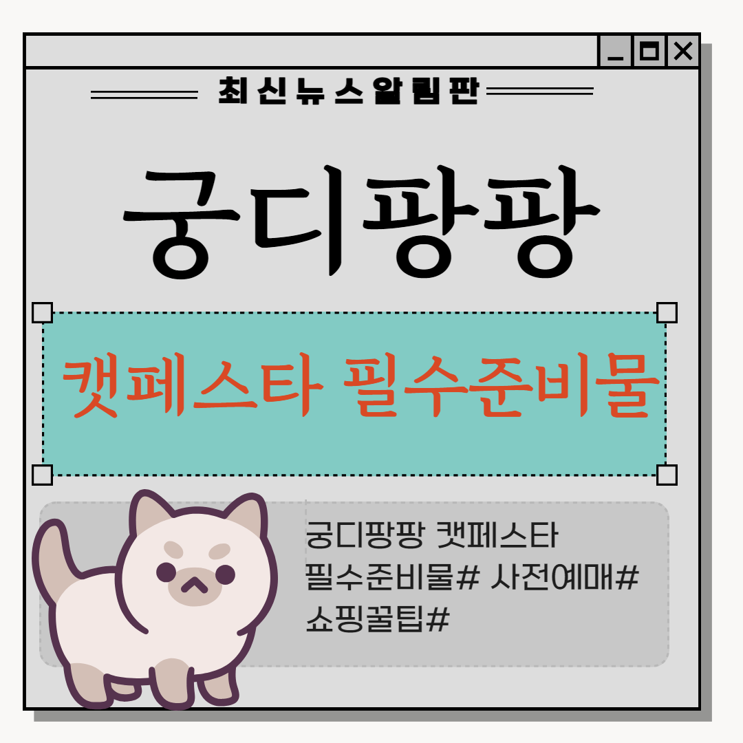 궁디팡팡 캣페스타 필수 준비물