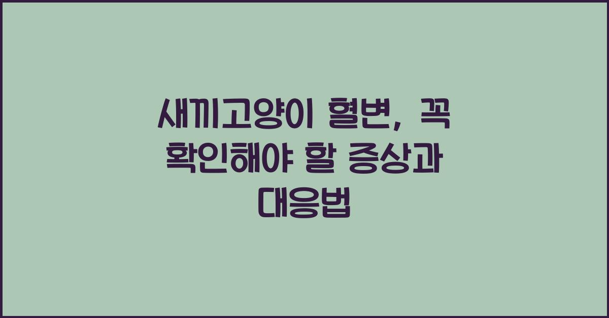 새끼고양이 혈변