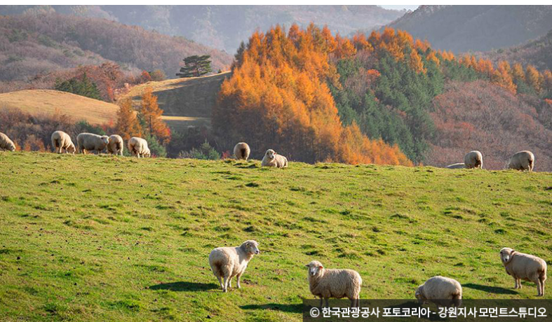 단풍명소 함양라운드힐