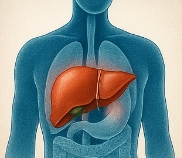 간에 좋은 음식 10가지