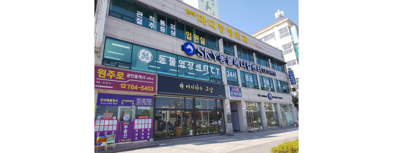 원주시 동물병원