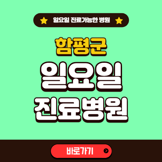 함평군 일요일 진료 가능한 병원 ❘ 주말 문여는 곳 총정리 (소아과, 내과, 안과, 치과, 피부과, 정형외과, 산부인과)