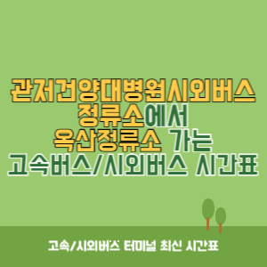 관저건양대병원시외버스정류소에서 옥산정류소 가는 시외버스 시간표 최신정보