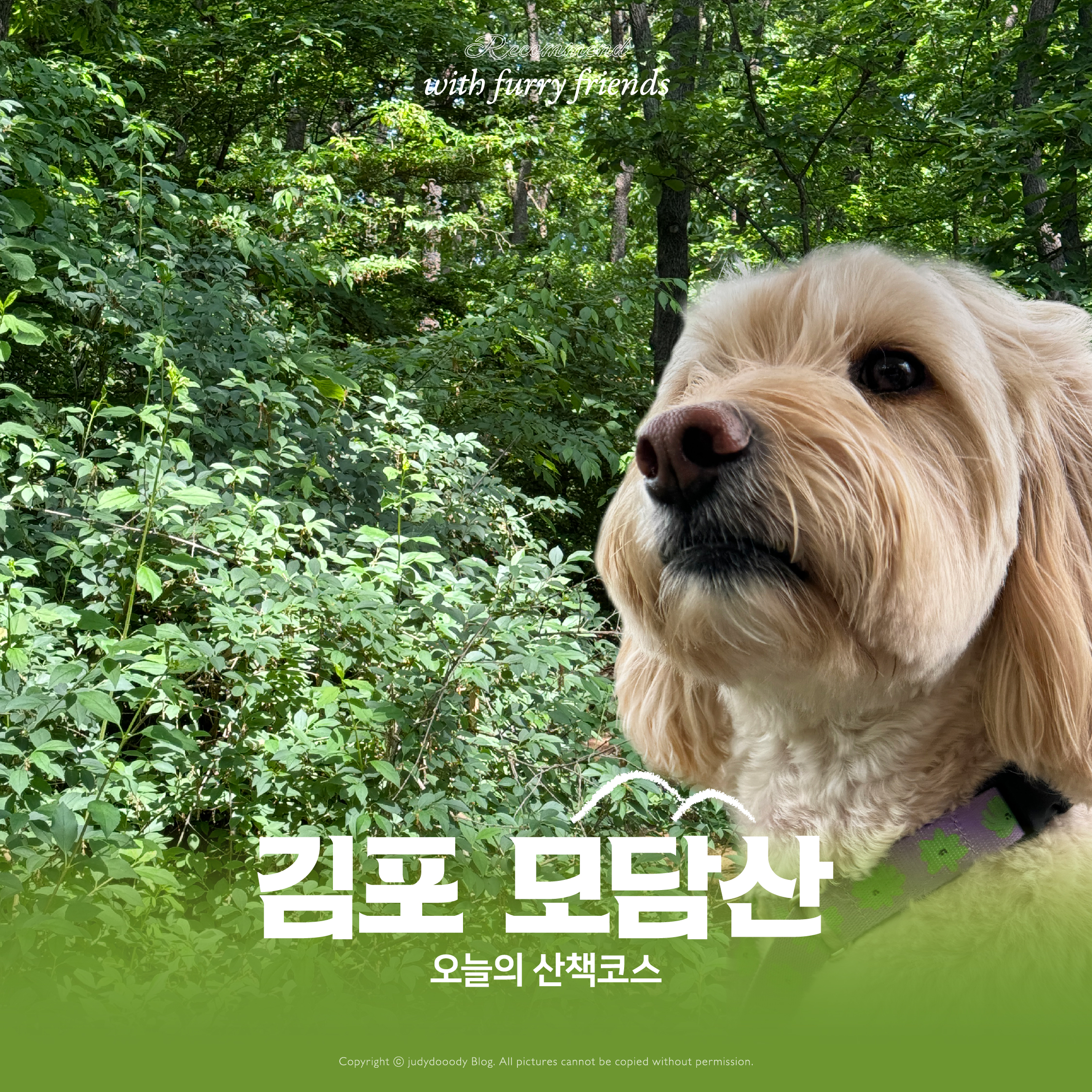 김포 모담산 소개 썸네일