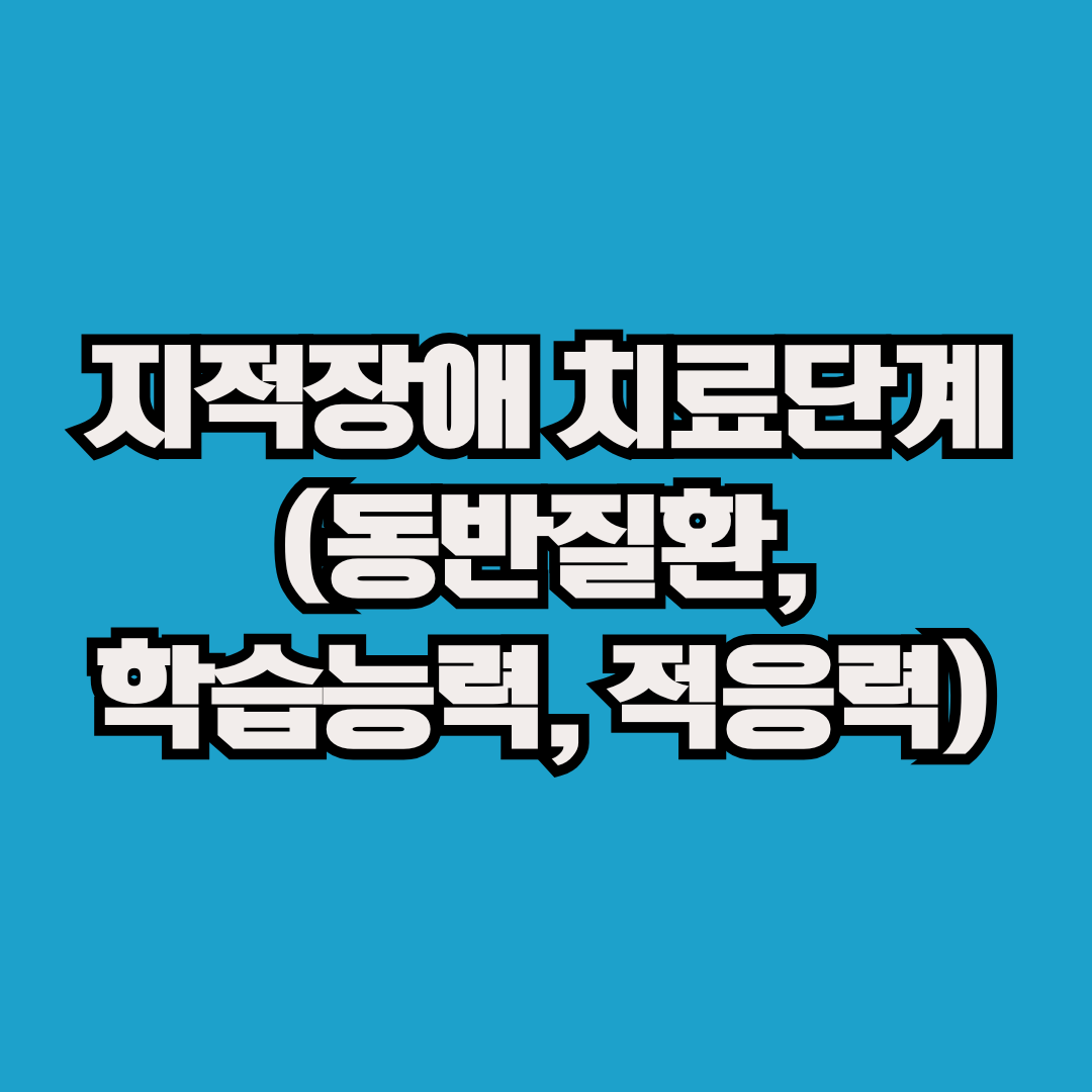 지적장애 치료단계 (동반질환, 학습능력, 적응력)