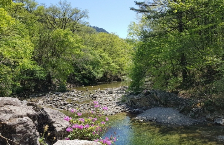 백두대간 트레일