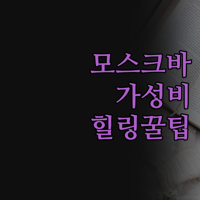 모스크바 숙소 가성비 힐링 도심 접근..