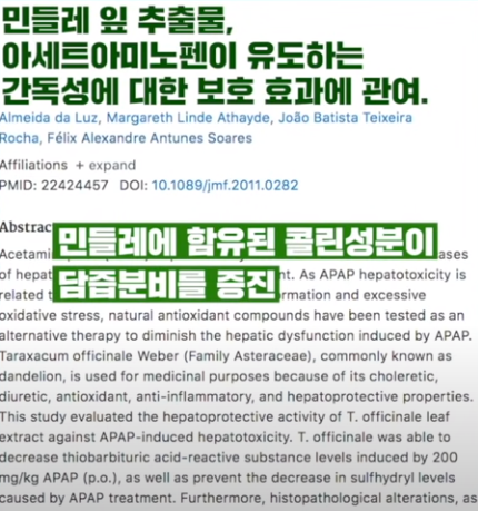 민들레 잎 추출물의 항산화효과 연구
