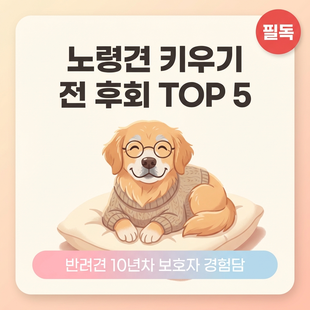 강아지 노령견 보호자 후회 TOP 5, 미리 알면 달라져요