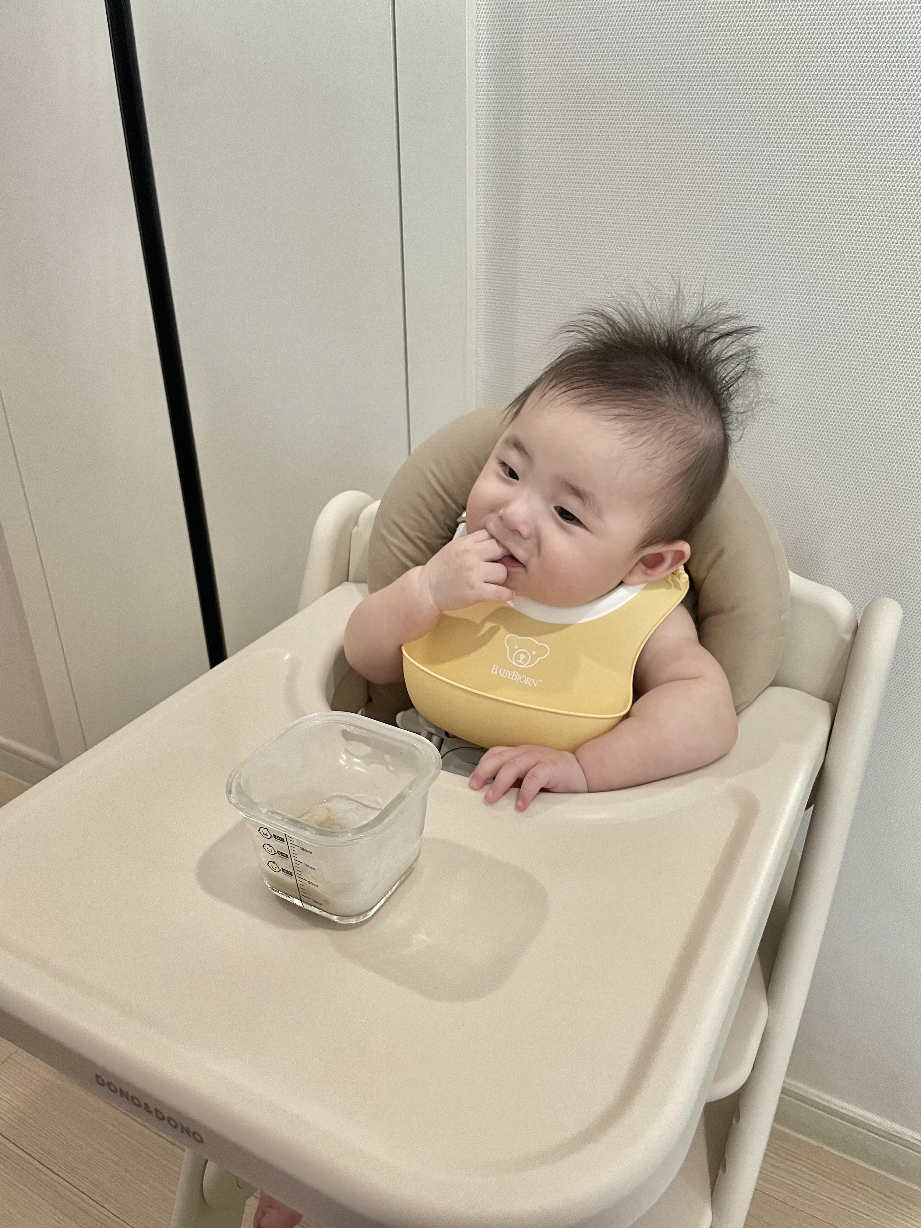 도노도노 하이체어