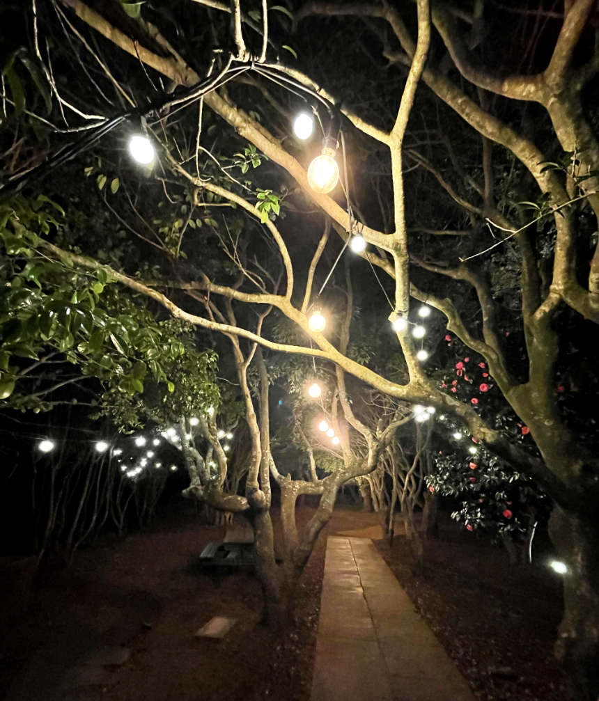 소노캄 제주 야경6