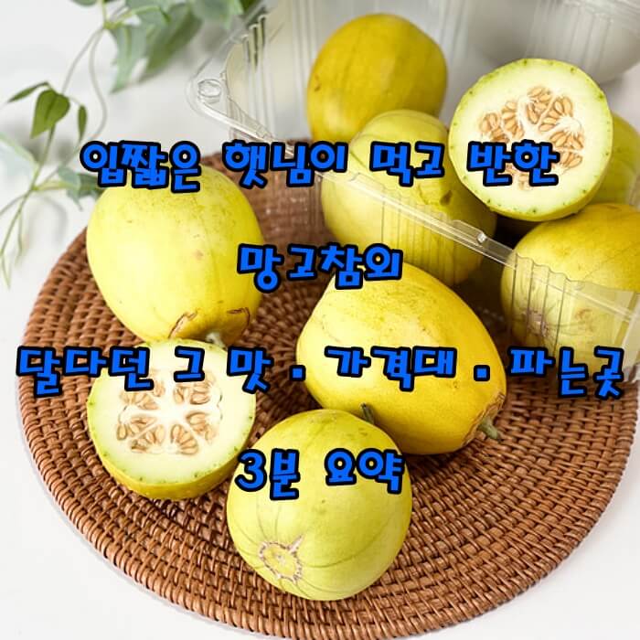 입짧은 햇님이 먹고 반한 망고참외｜달다던 그 맛&middot;가격대&middot;파는곳 3분 요약