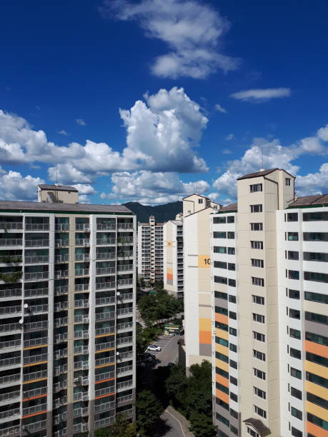 라체르보 푸르지오 써밋 임의공급