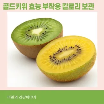 키위 효능과 부작용 비타민 풍부한 과일 정보_6