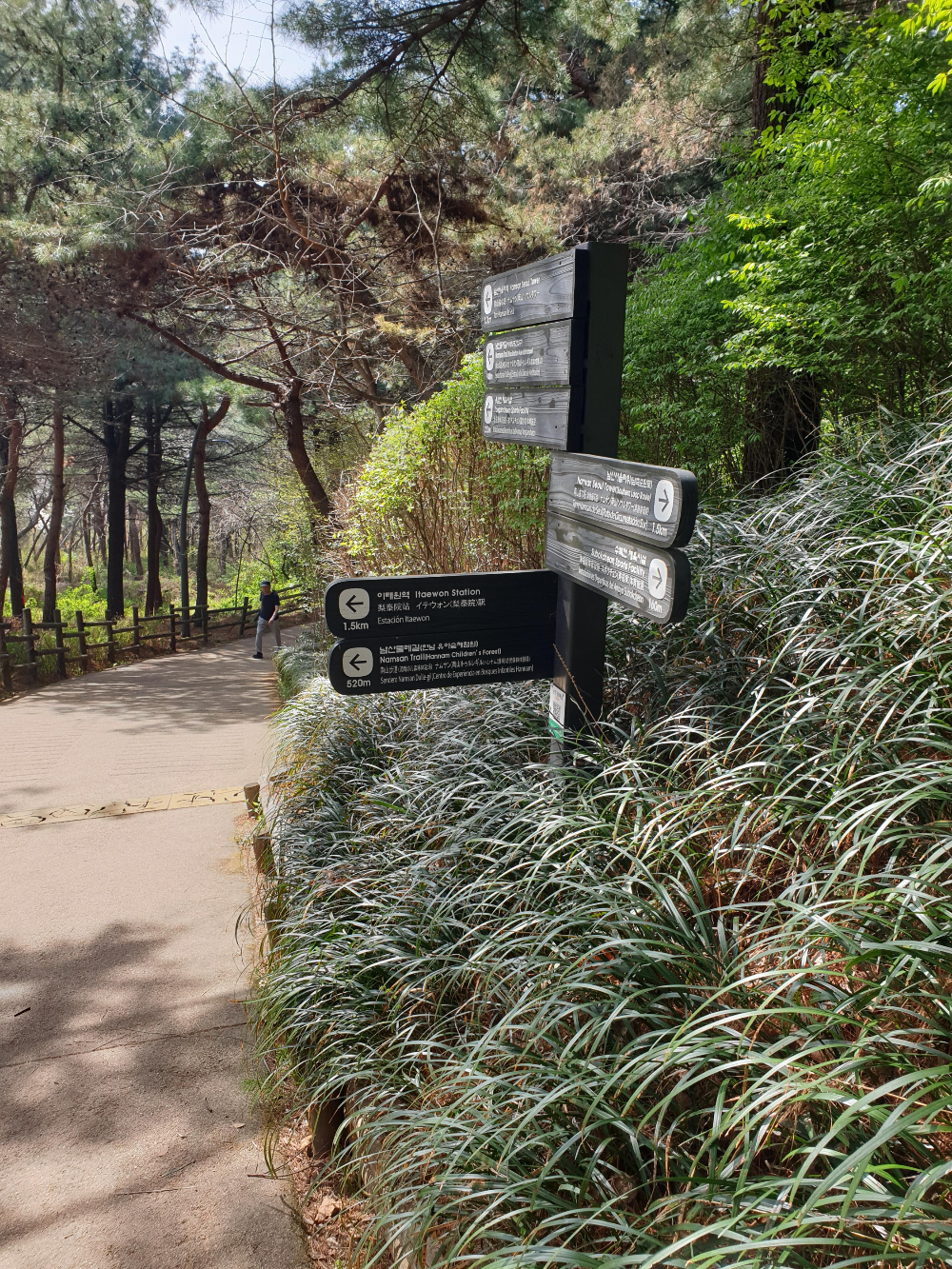 푸른 녹음 사이 보이는 이정표. 여러 방향에 여러 푯말이 보인다.