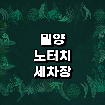 밀양시 노터치 세차
