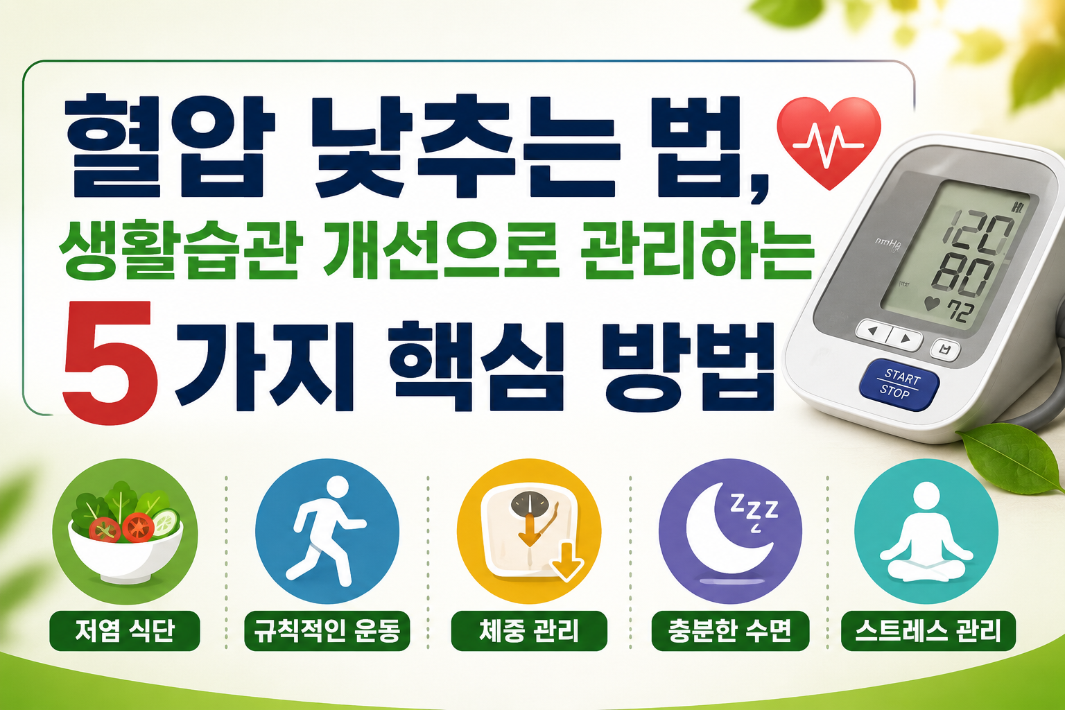 혈압 낮추는 법, 생활습관 개선으로 관리하는 5가지 핵심 방법 - 사진 -