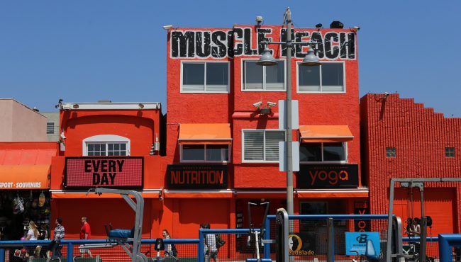 머슬 비치 (Muscle Beach Venice) – LA에서 가장 근육질인 바다