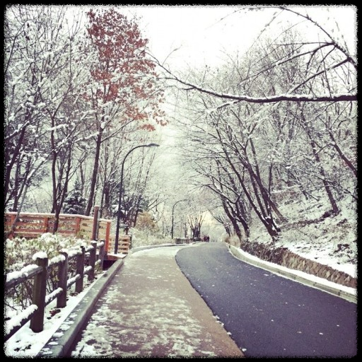 국내 겨울 설경 여행지 Best 10: 눈 덮인 명소와 일출&middot;일몰 스팟