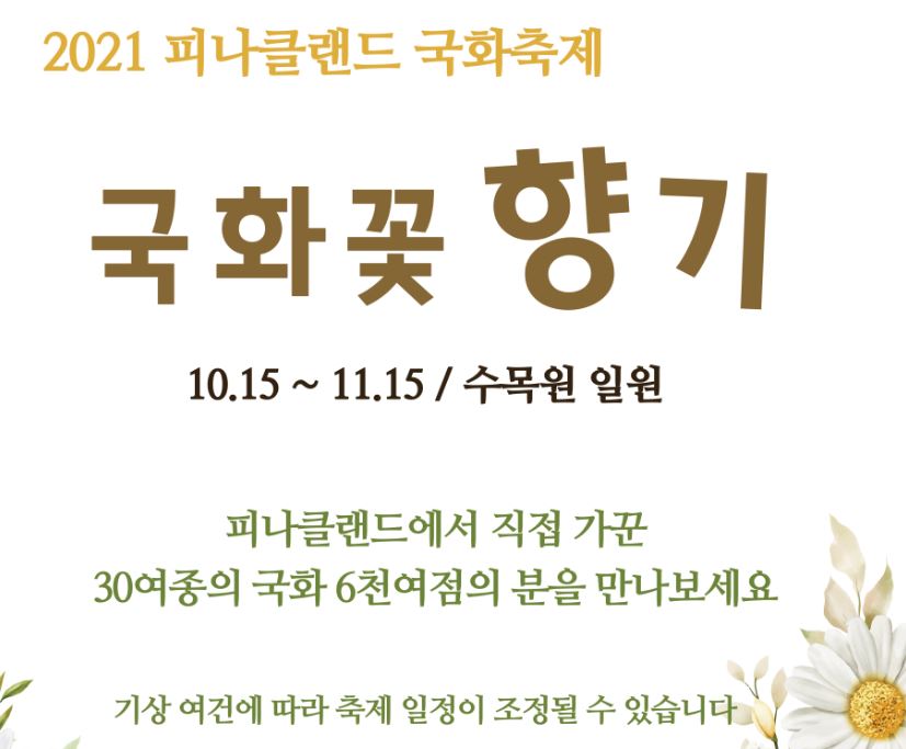 피나클랜드 국화축제