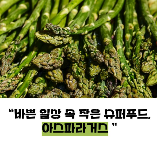 아스파라거스 효능