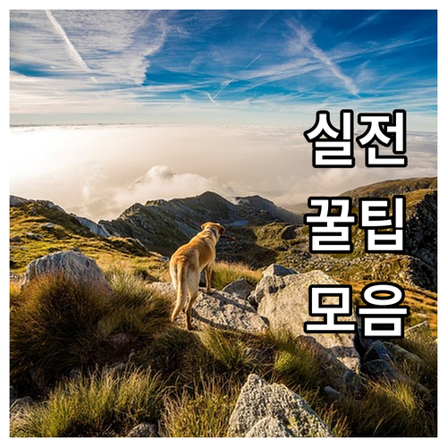 겨울철 시동 불량 완벽 대비: 배터리