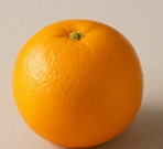 칼륨이 많은 음식