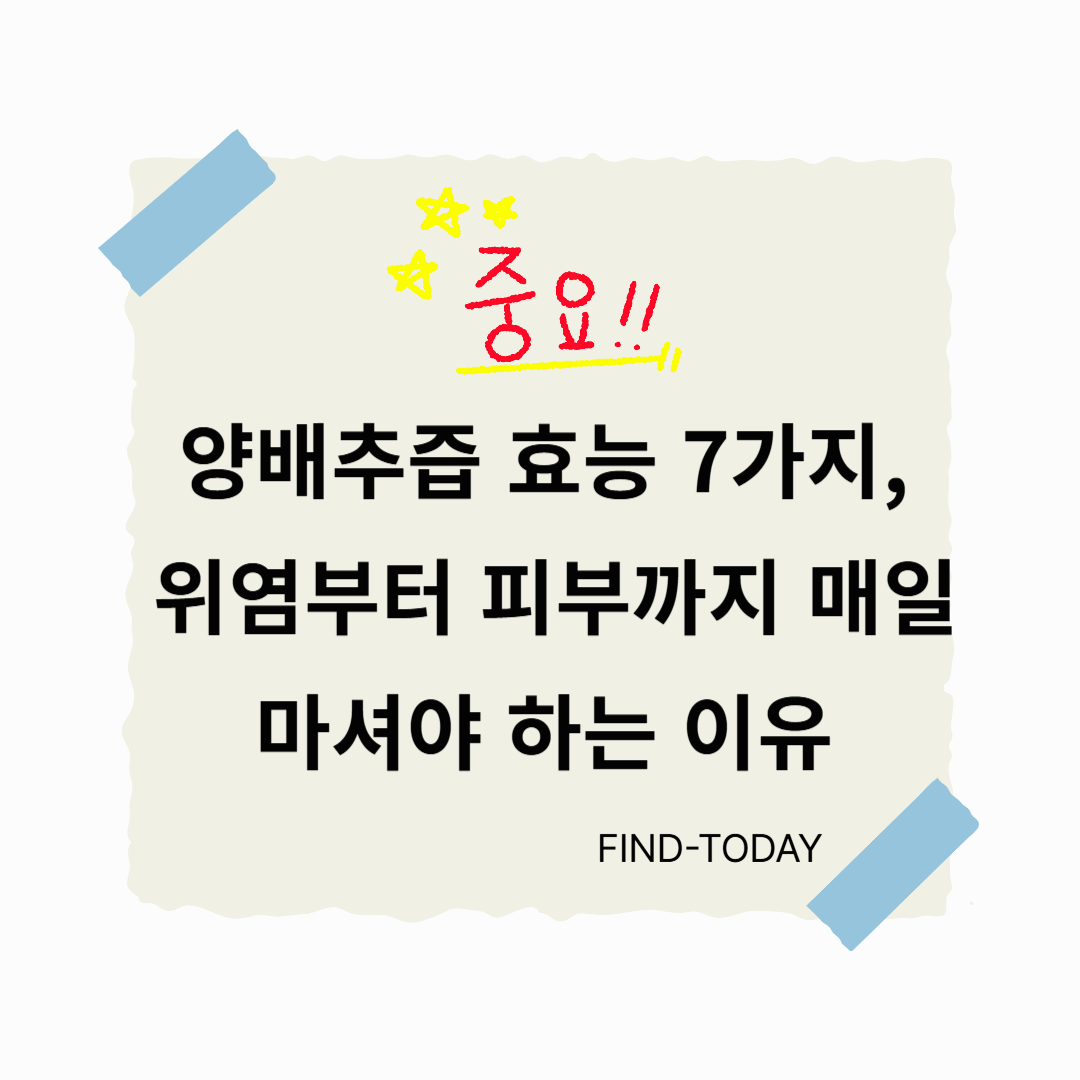 양배추즙 효능 7가지 정리 - 위염부터 피부까지 매일 마셔야 하는 이유