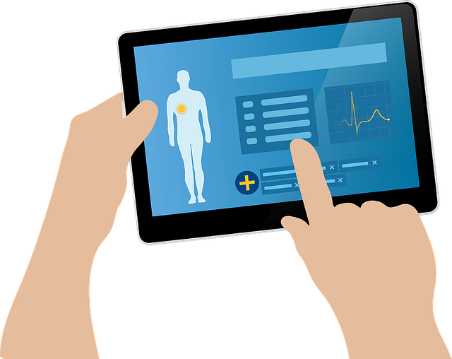 병원 차트 이미지