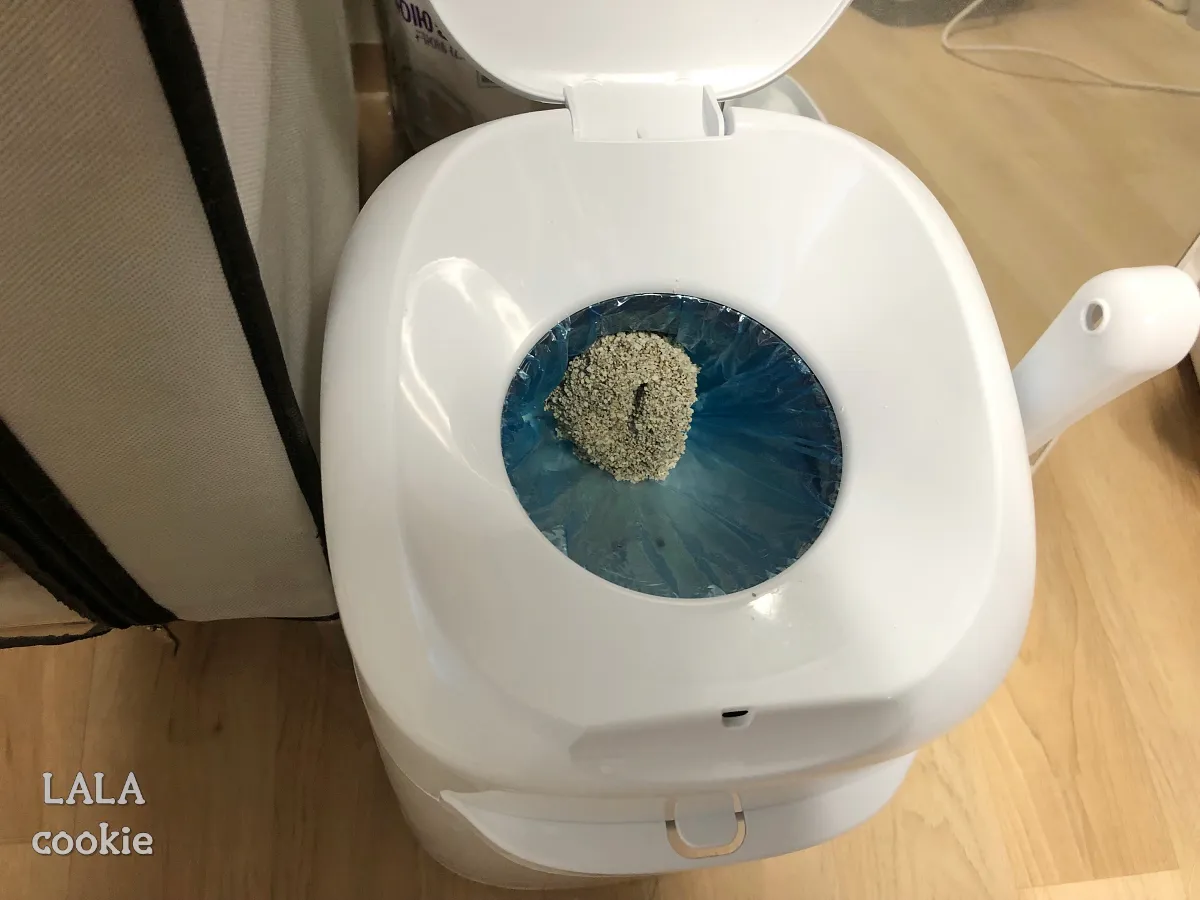 고양이-모래-추천-닥터펠리스-하드볼-후기-응고된-고양이-소변-버리기