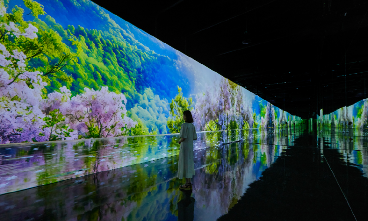 파주 뮤지엄헤이