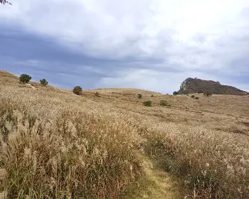 황매산 억새축제_14