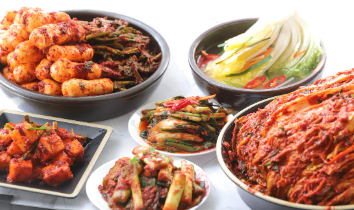 김장배추 파종 시기 알아보기 1