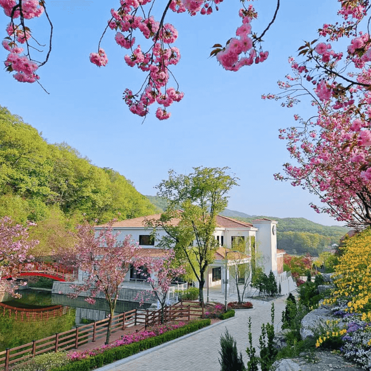 용인 자작나무 숲 봄 꽃 축제, 봄 날의 감성에 물들다!