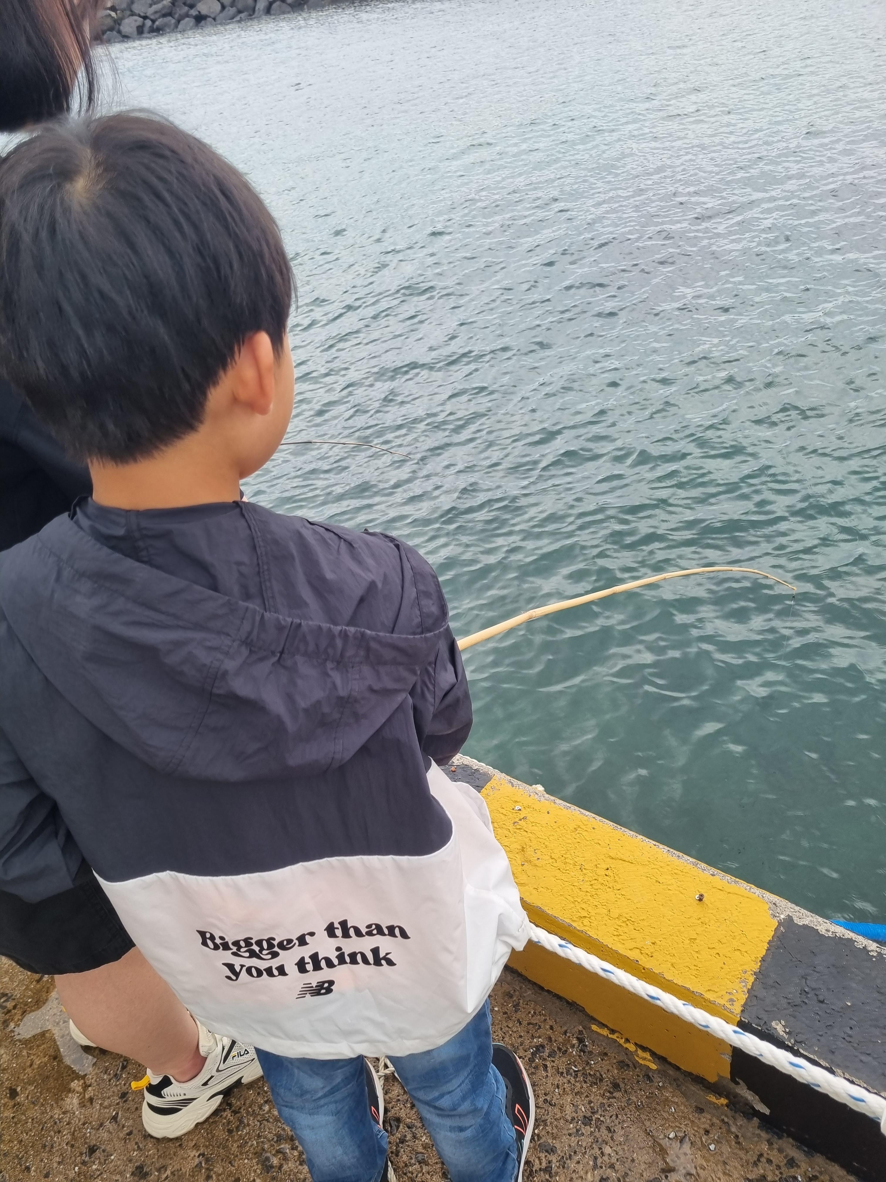 제주돌고래 힐링투어